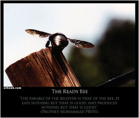 The Ready Bee