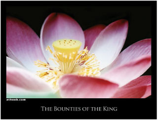 The Bounties of the King